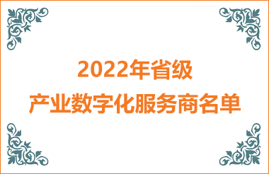 2022年省級產業(yè)數字化服務商